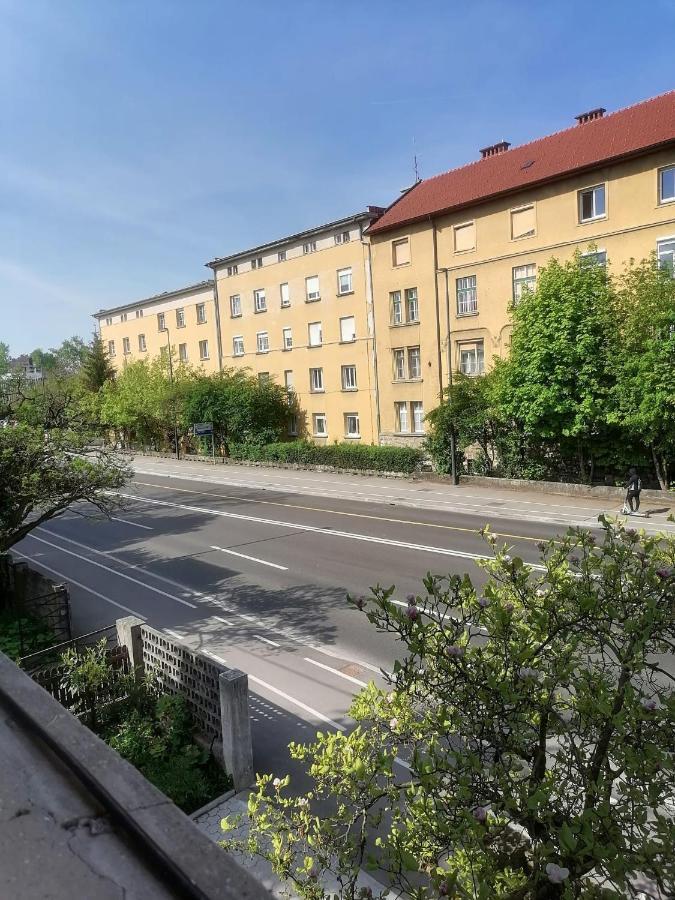 Pirc Apartment On Dunajska Street リュブリャナ エクステリア 写真