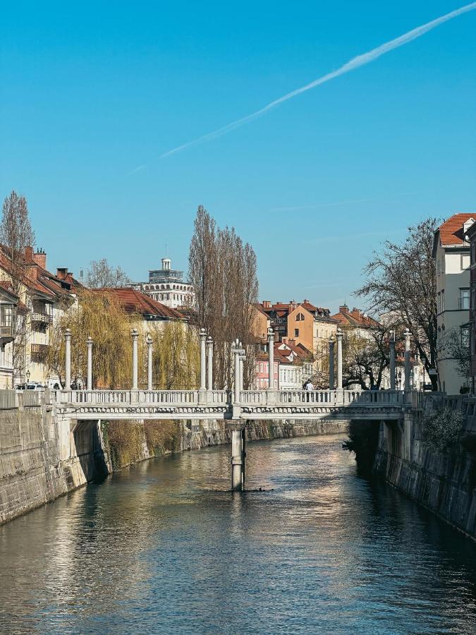 Pirc Apartment On Dunajska Street リュブリャナ エクステリア 写真