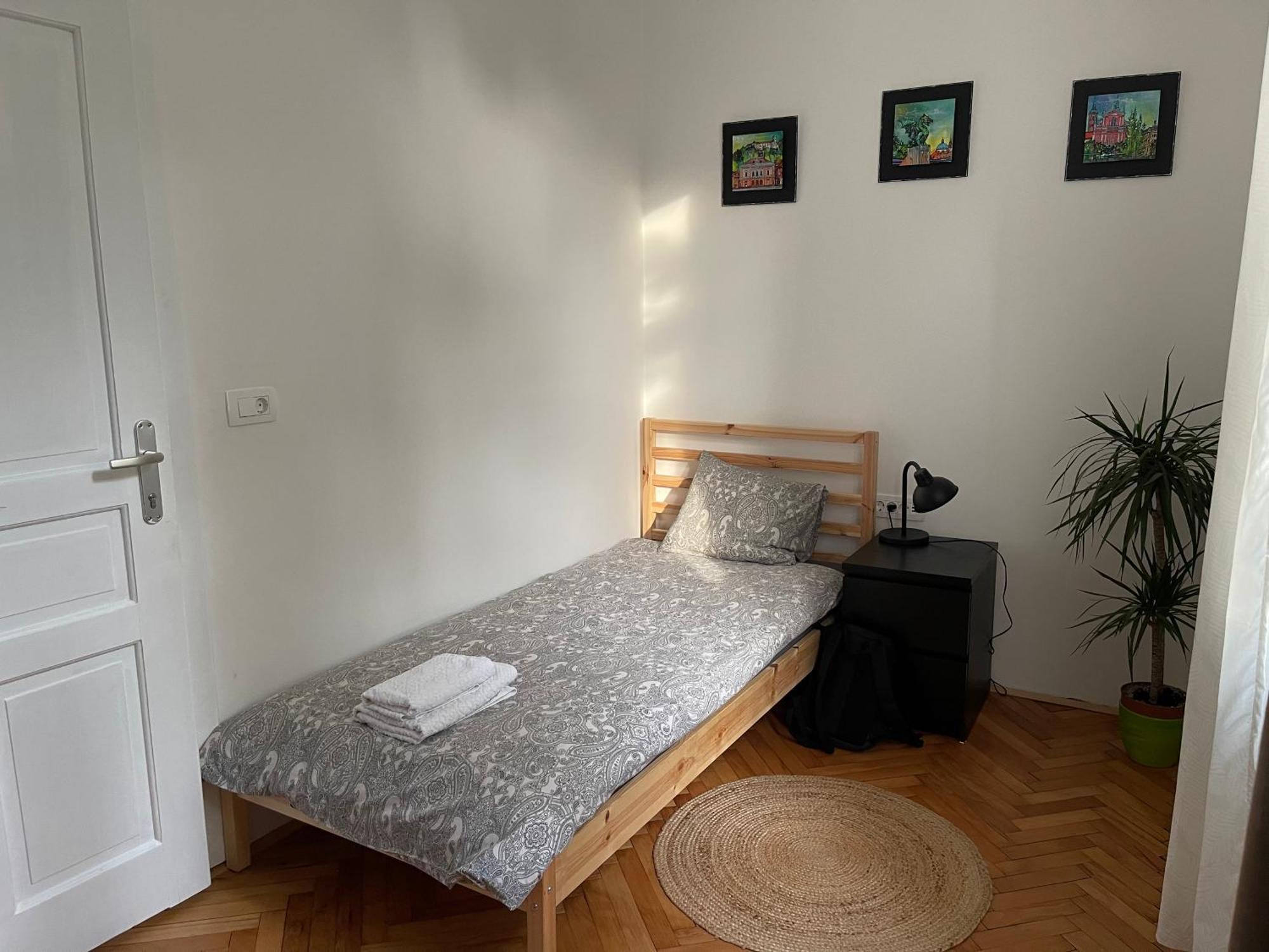 Pirc Apartment On Dunajska Street リュブリャナ エクステリア 写真