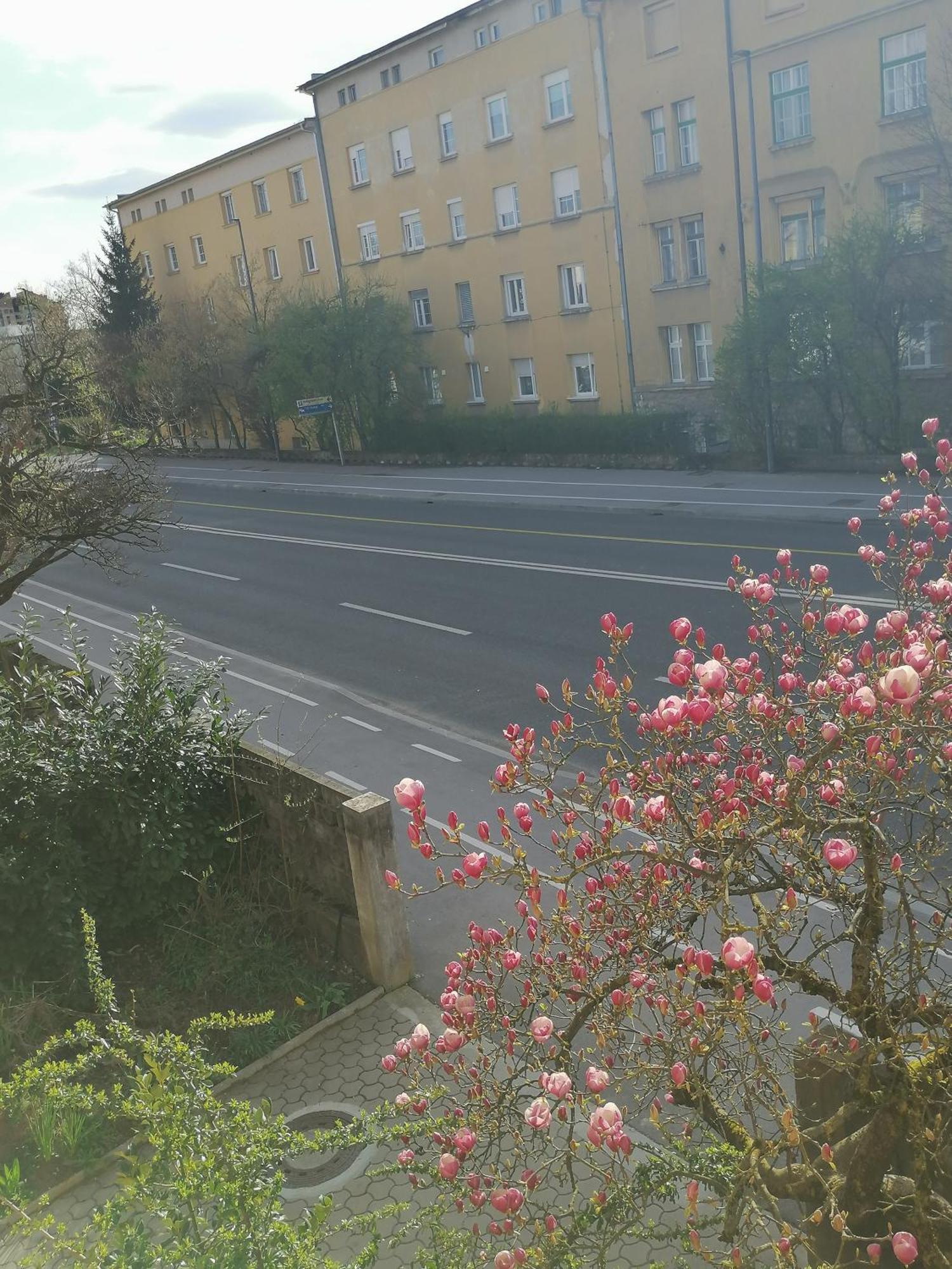 Pirc Apartment On Dunajska Street リュブリャナ エクステリア 写真
